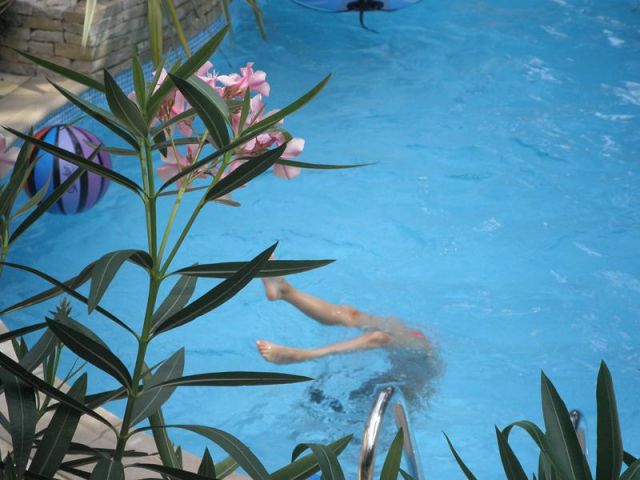 P7100129 (Copier).JPG